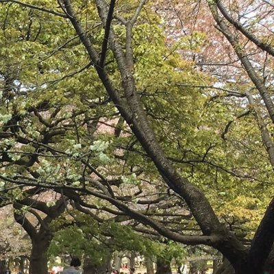 日大
