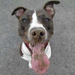 BENChpressMSI's profile picture. 