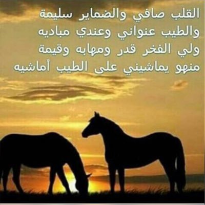 Nourah_A_S's profile picture. 