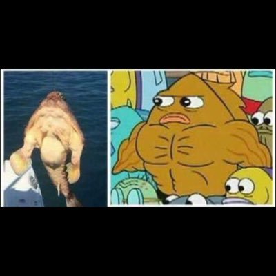 IqonikPapa2882's profile picture. killa