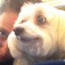StacyNoE (@stacylav) Twitter profile photo StacyNoE (@stacylav) Twitter profile photo