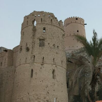 EyJ7HEPv5Xdc9bK's profile picture. 