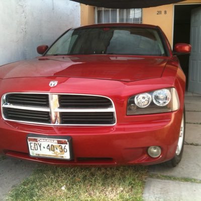 El__neto's profile picture. 