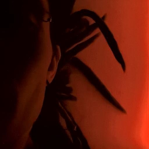 rapsis's profile picture. Kad zirgs nūsprògst - tad visi cilvāki vīnodi