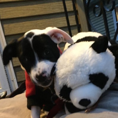 ZhuxiongB's profile picture. 'What object is served by this circle of misery and violence and fear? It must tend to some end,or else our universe is ruled by chance, which is unthinkable.'