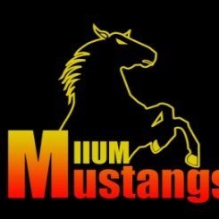 Official account of IIUM/UIAM Mustang football team #halamustangs