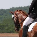 Michelle Burch - @mhb0709 - Twitter