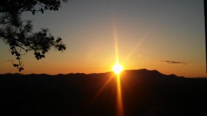 just_jorie's profile picture. 