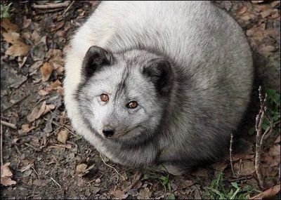yetanotherboris's profile picture. 