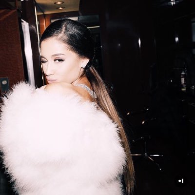 AriAmazesMe's profile picture. Free follow from @EireButera (I'd appreciate if you followed me if you haven't already) also rt/like my pinned would be amazing ily