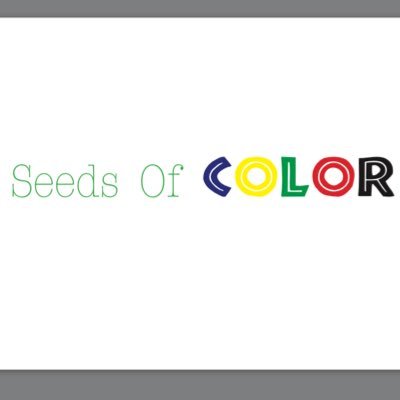Non-Profit Org, focusing on community development and involvement, including but not limited to: education, economic, health, youth, etc.