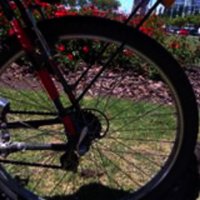 Daniel gambarg (@danielgambarg) 's Twitter Profile
