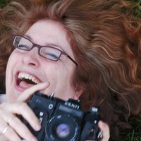 Tracy Homer (@trapac) 's Twitter Profile