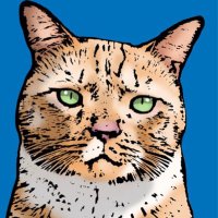 Hobbes(@GingerHobbes) 's Twitter Profile Photo