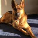 Diane Sutherland - @dianes1910 - Twitter