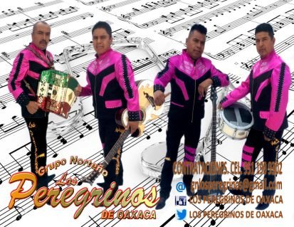 Los Peregrinos de Oaxaca, es un Grupo Musical de género Norteño. Que ameniza todo tipo de eventos especiales. Correo electrónico: gnlosperegrinos@gmail.com