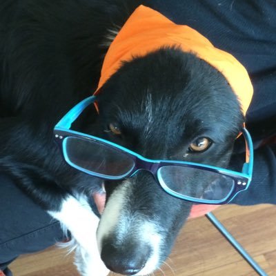 fwesterl's profile picture. Als je geen doel hebt kan je ook niet verdwalen....