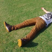 t o ö m i (@toomilog) 's Twitter Profile