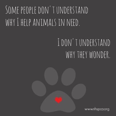 I'll do anything to rescue a furry paw from horror 2 safety, until they get what every paws deserves, A family. Faraway from the cruelty of the streets.