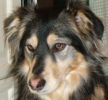 THEMRSPEC's profile picture. CRS great oil play low float GRF is now trading as MMJ a 10 center ready to move up After a long halt