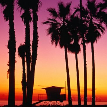 Real estate professional in Los Angeles bringing you properties, sights and news about this wonderful city!