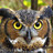Ceames's profile image