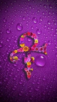 cathleenpsu94's profile picture. 