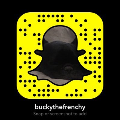 My name is Buckminster Fuller. I'm a French Bulldog by day, sleek black panther by night. I was named after someone famous. ig/vine/snapchat Buckythefrenchy