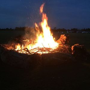 pau_monte's profile image