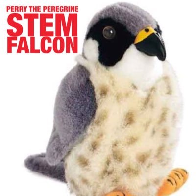 I'm a little bird with a big passion for #STEM and #STEAM education. Follow me and join my adventures!