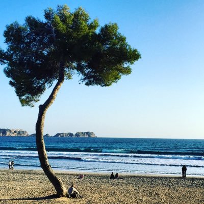 mallorcabeach's profile picture. Best beaches in Mallorca #mallorcabeach #mallorcaselfie #mallorcatravel