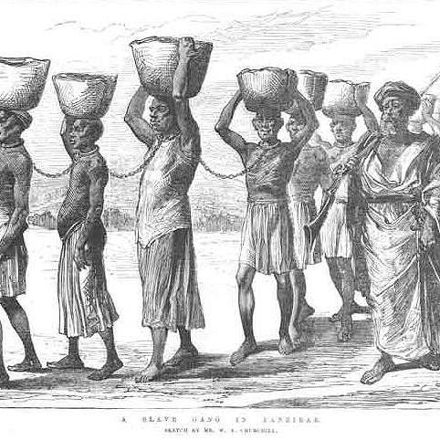 cat_mr_kari's profile picture. Not AI