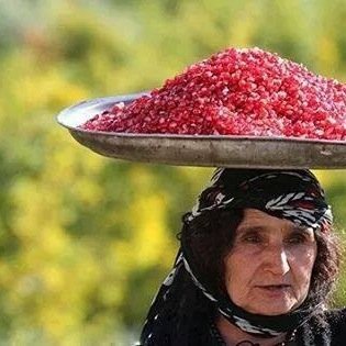 contemporaine's profile picture. contemplative,amusée, indignée, étonnée, raisonnablement révoltée, après avoir été,pendant longtemps, inconditionnellement  révoltée(une vieille branche,quoi!)