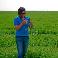 Roula Bachour (@roulabachour) 's Twitter Profile Photo