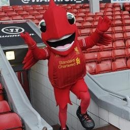 Mighty_RedLFC's profile picture. Been a Liverpool fan all my life, love the club & talking about it #lfc #lfc_family