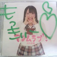 ランチ様♡ ワイヤー保冷ランチバッグ – ねずみのANDY Officialshop