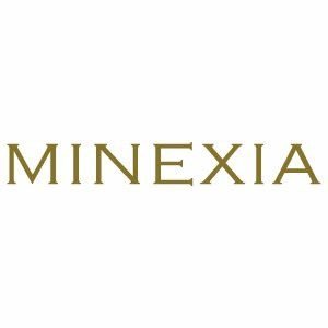 MINEXIA is an emerging market focused, capital solutions and support provider to junior mining companies.