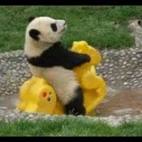 PNDA (@_panda742) 's Twitter Profile