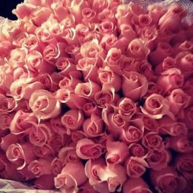 pooja_hj's profile picture. computer science Engineering  student, aim to get an internship @google