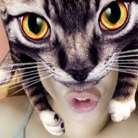 S (@selineeee) 's Twitter Profile