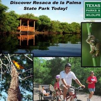 Cameron county's only 1st park and largest World Birding Center! With over 1200 acres of native flora, over 8mi of trails, 4 observation decks and a 4mi resaca.