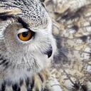 Jamie Braman - @JamieBraman - Twitter