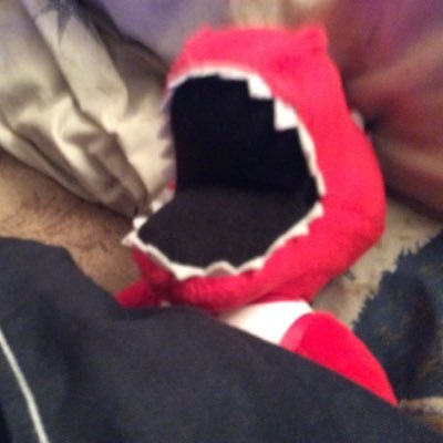 keerit33's profile picture. Raptor sleeping