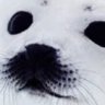 VShlottic's profile picture. A life well-learned