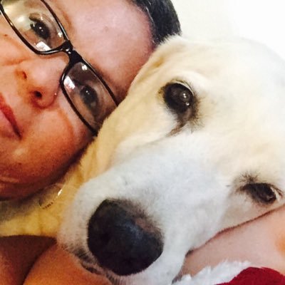 belladri8's profile picture. 