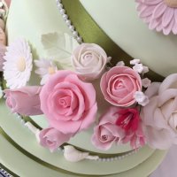 Rubydoocakes (@rubydoocakes) 's Twitter Profile