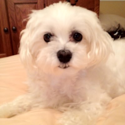 eeErtc's profile picture. Christian, Conservative…Love God, Family and the USA. Truth Social @ColaEEE