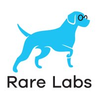 Rare Labs (@rarelabs) 's Twitter Profile
