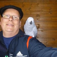 Stephen Müller (@stephenmller) 's Twitter Profile