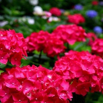 taketake3531's profile picture. 福岡市で広告制作の仕事をしています。役割としてはクライアントとデザイナーさんとの橋渡し。紙面がメインですがTV番組・CMの制作も。趣味は写真撮影にふらりと出かけること。